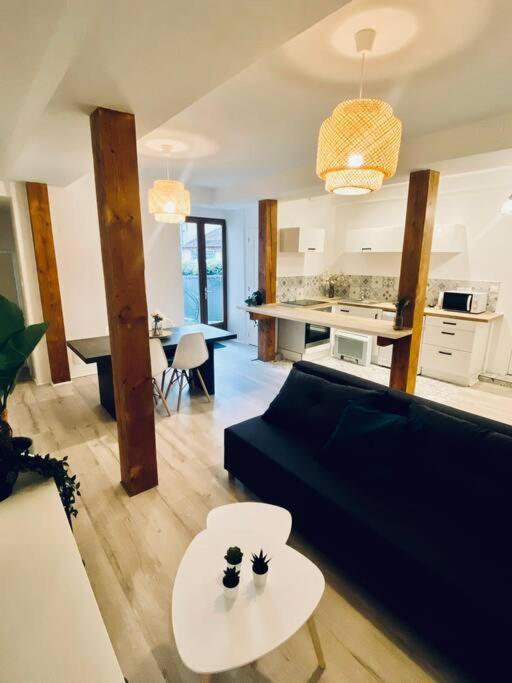 Bel Appart Proche Centre Ville, Thermes, Casino 바네르드비고르 외부 사진
